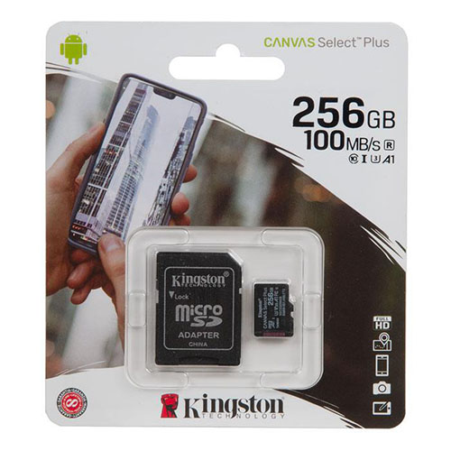 Kingston Canvas Select Plus 256GB (SDS2/256GB)/007551