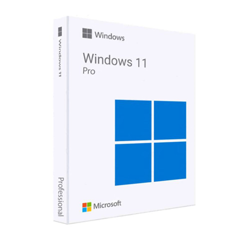 Win 11 Pro 64Bit Russian/ENG 1pk DSP OEI DVD