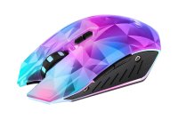 Mouse / Mousepad