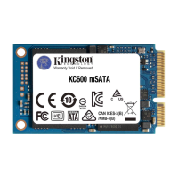 KINGSTON KC600 256GB mSATA