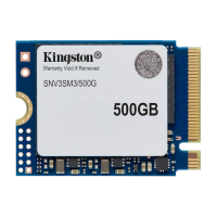 KINGSTON SNV3SM3 500GB M.2 NVMe